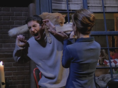 Friends | 107 | Cat Attack
