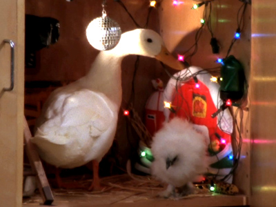 Feathered Friends